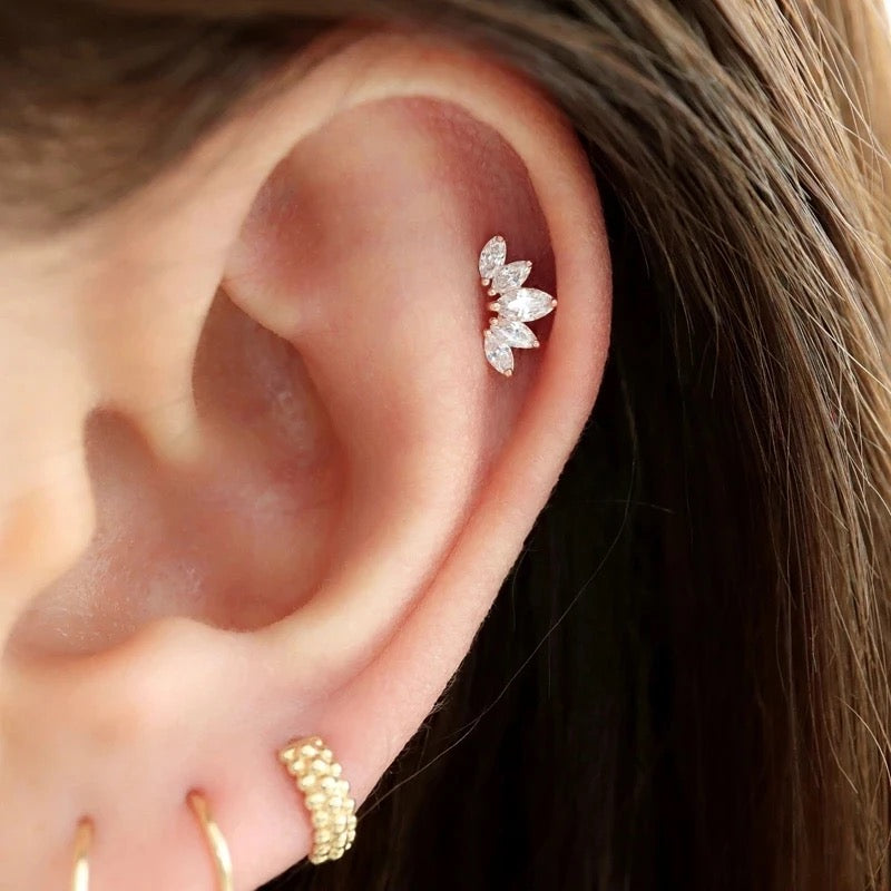 THE CROWN PIERCING